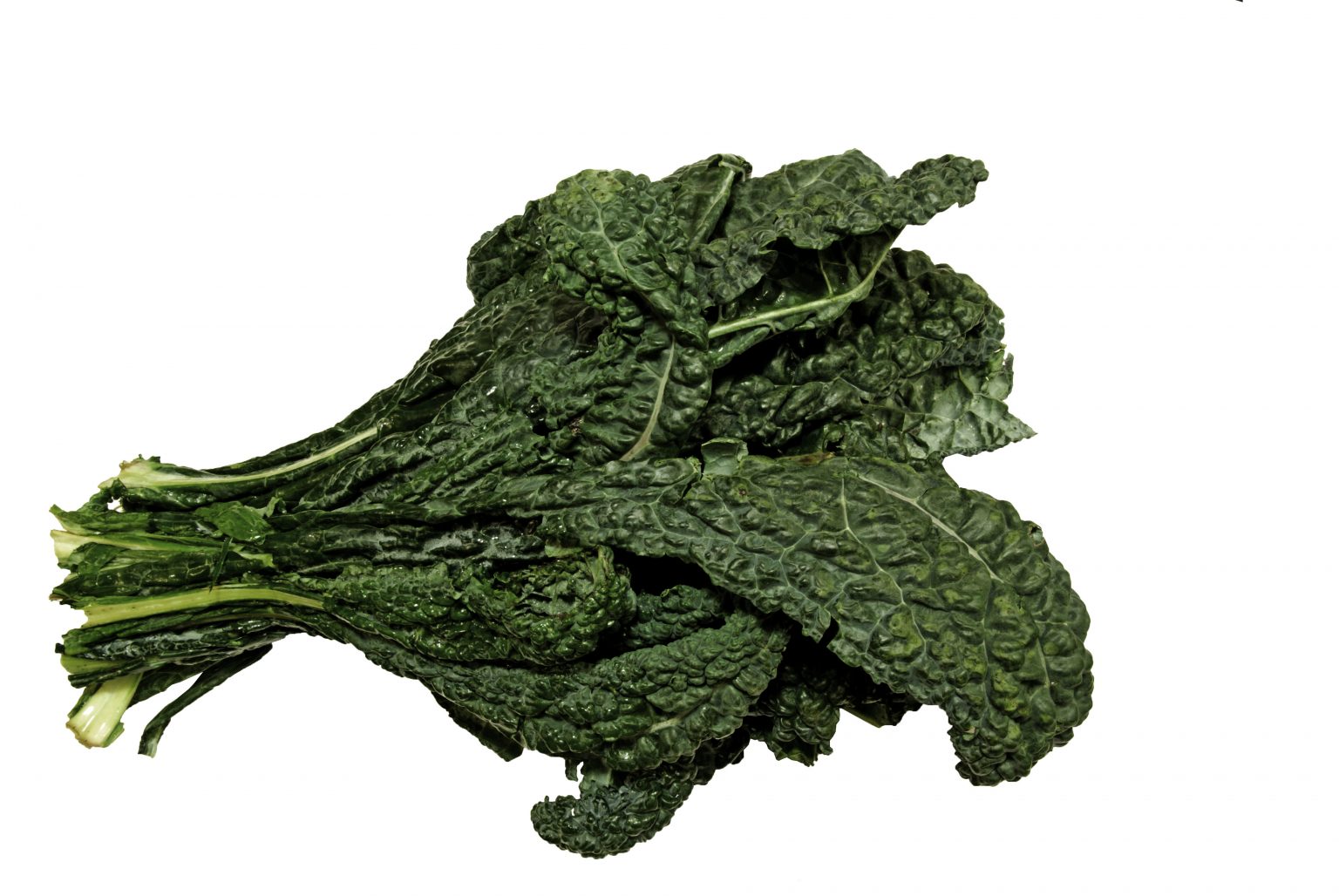 Organic Lacinato Kale (Per Bunch) The Waterhole